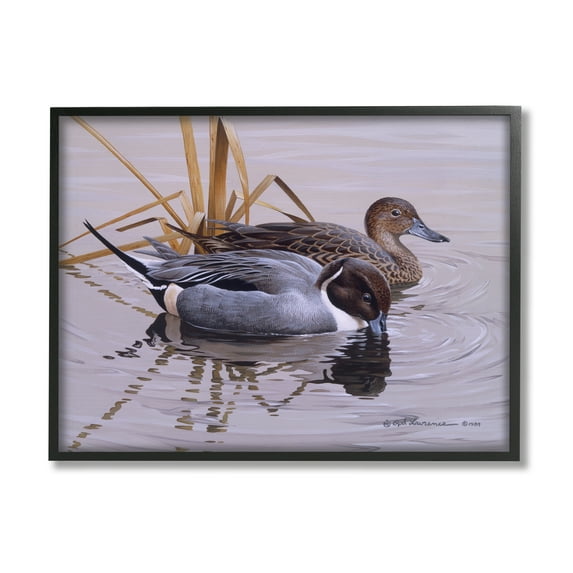Stupell Industries Ducks with Pond Ripples Animals & Insects Painting Black Framed Art Print Wall Art, 30 x 24