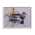 thumbnail image 1 of Stupell Industries Ducks with Pond Ripples Animals & Insects Painting White Framed Art Print Wall Art, 30 x 24, 1 of 9