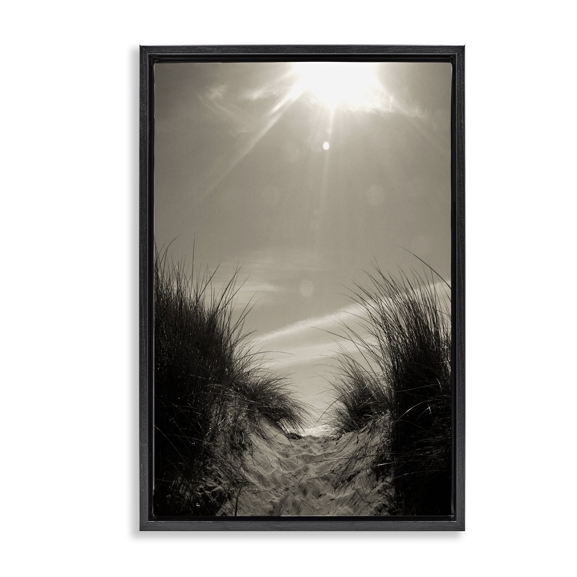 Stupell Industries Dune Valley Landscape Coastal Photography Black Floater Framed Canvas Art Print Wall Art, 21 x 31