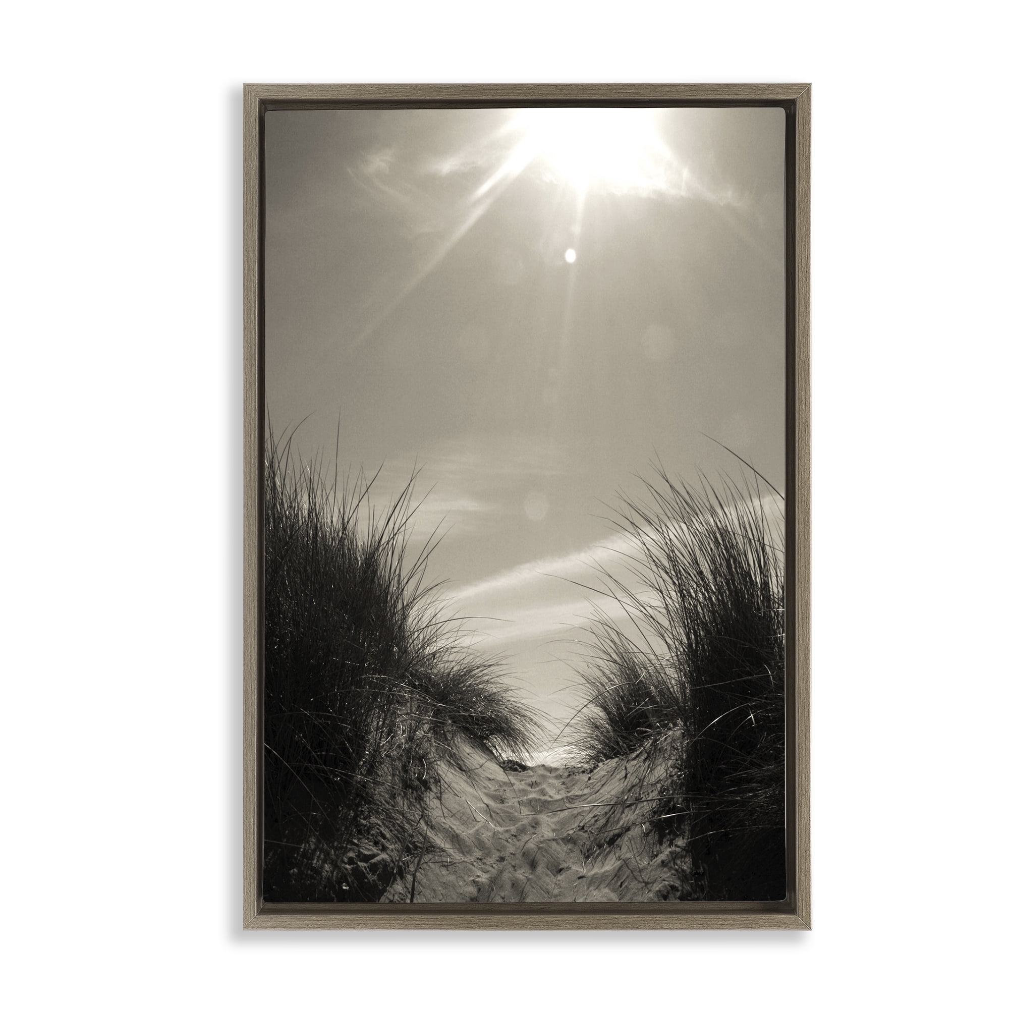 Stupell Industries Dune Valley Landscape Coastal Photography Brown Floater Framed Canvas Art Print Wall Art, 21 x 31