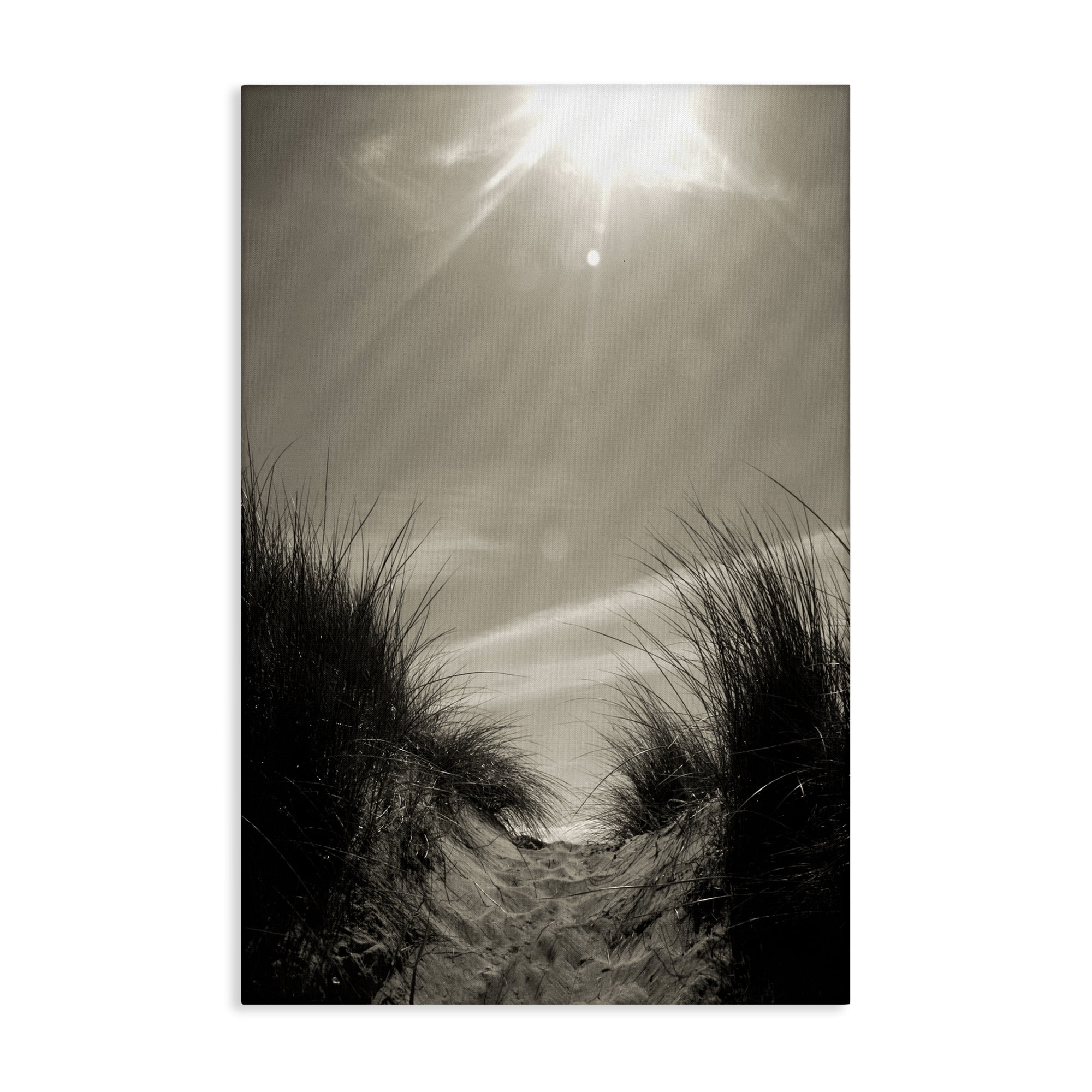 Stupell Industries Dune Valley Landscape Coastal Photography Gallery Wrapped Canvas Art Print Wall Art, 30 x 45