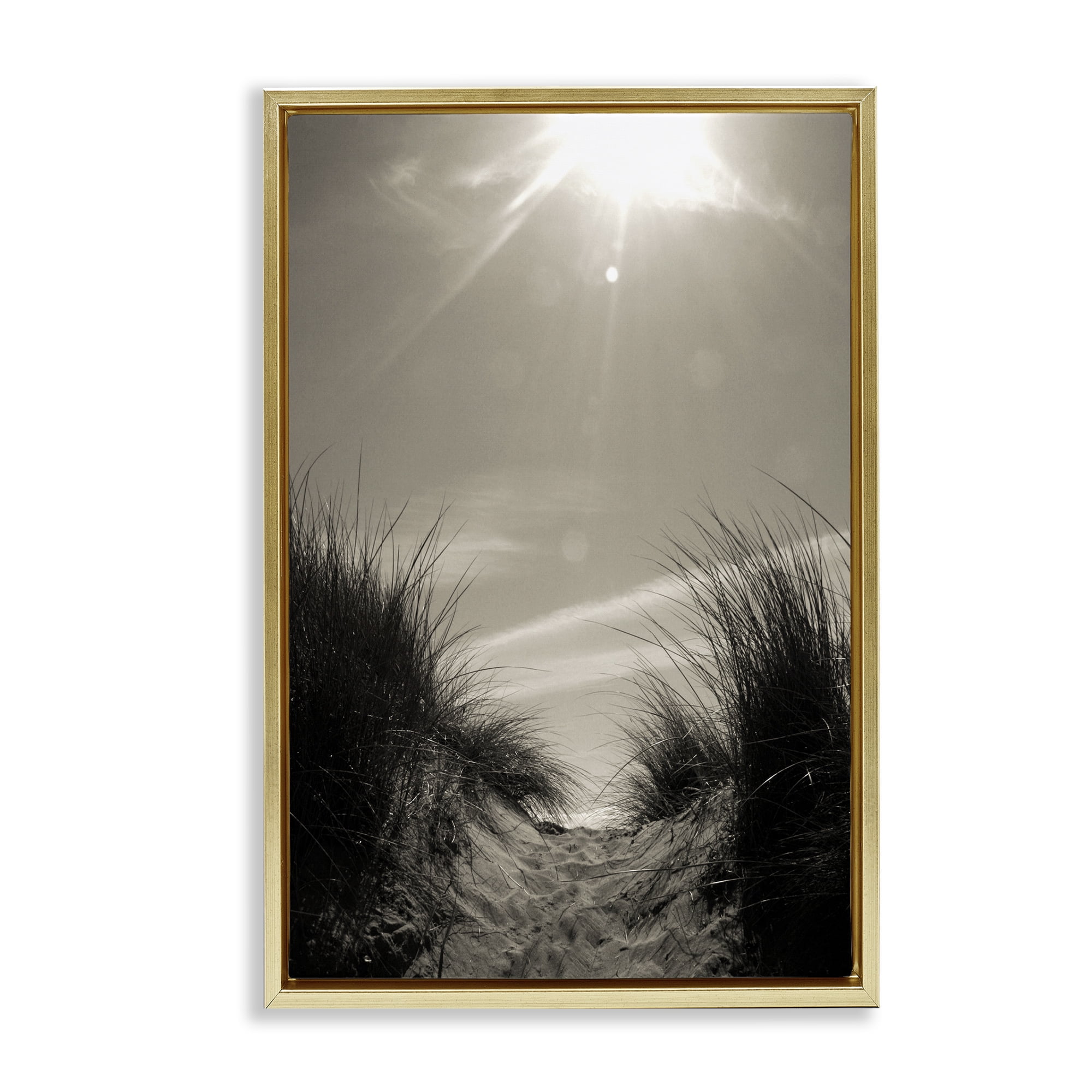 Stupell Industries Dune Valley Landscape Coastal Photography Gold Floater Framed Canvas Art Print Wall Art, 17 x 25
