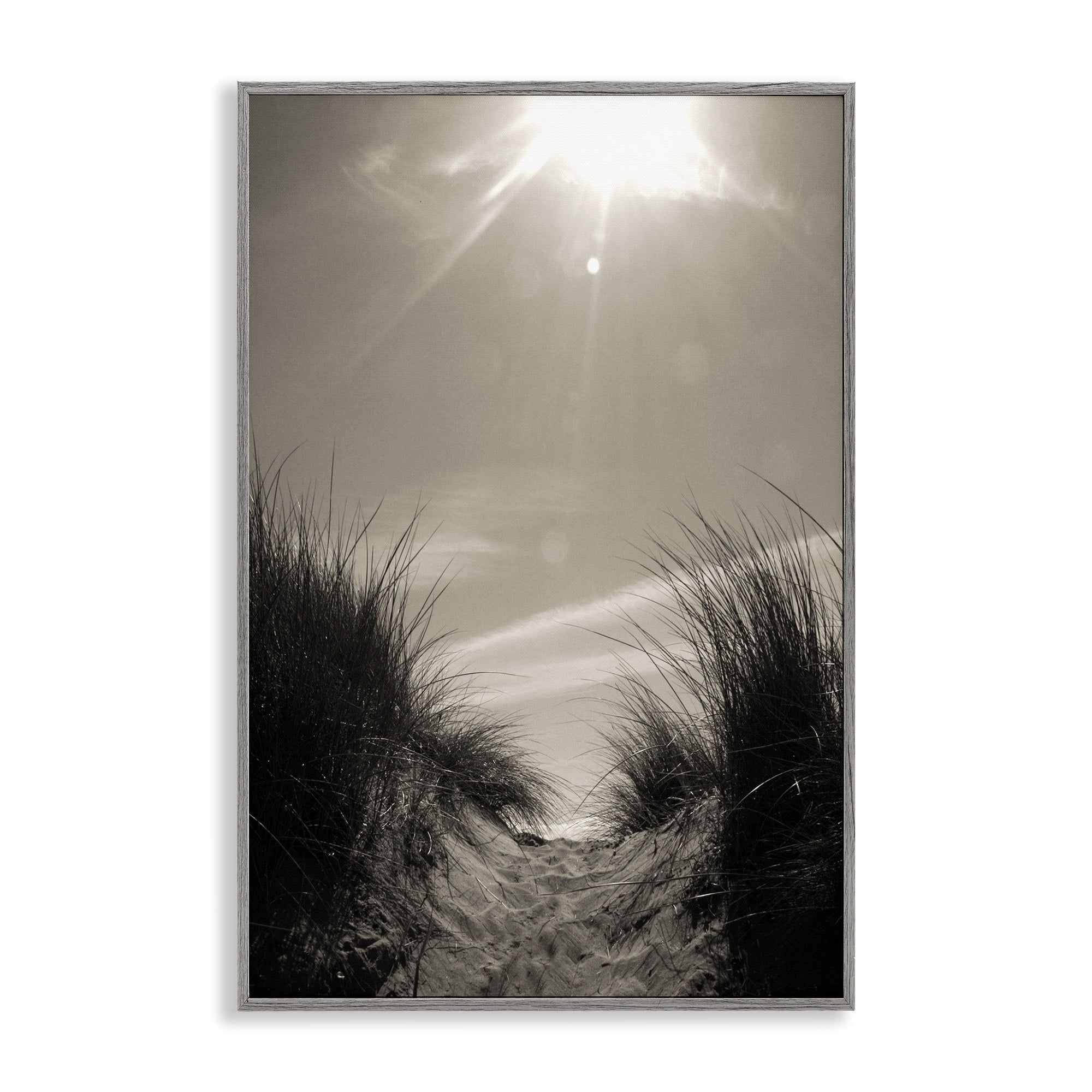 Stupell Industries Dune Valley Landscape Coastal Photography Gray Framed Art Print Wall Art, 12 x 18
