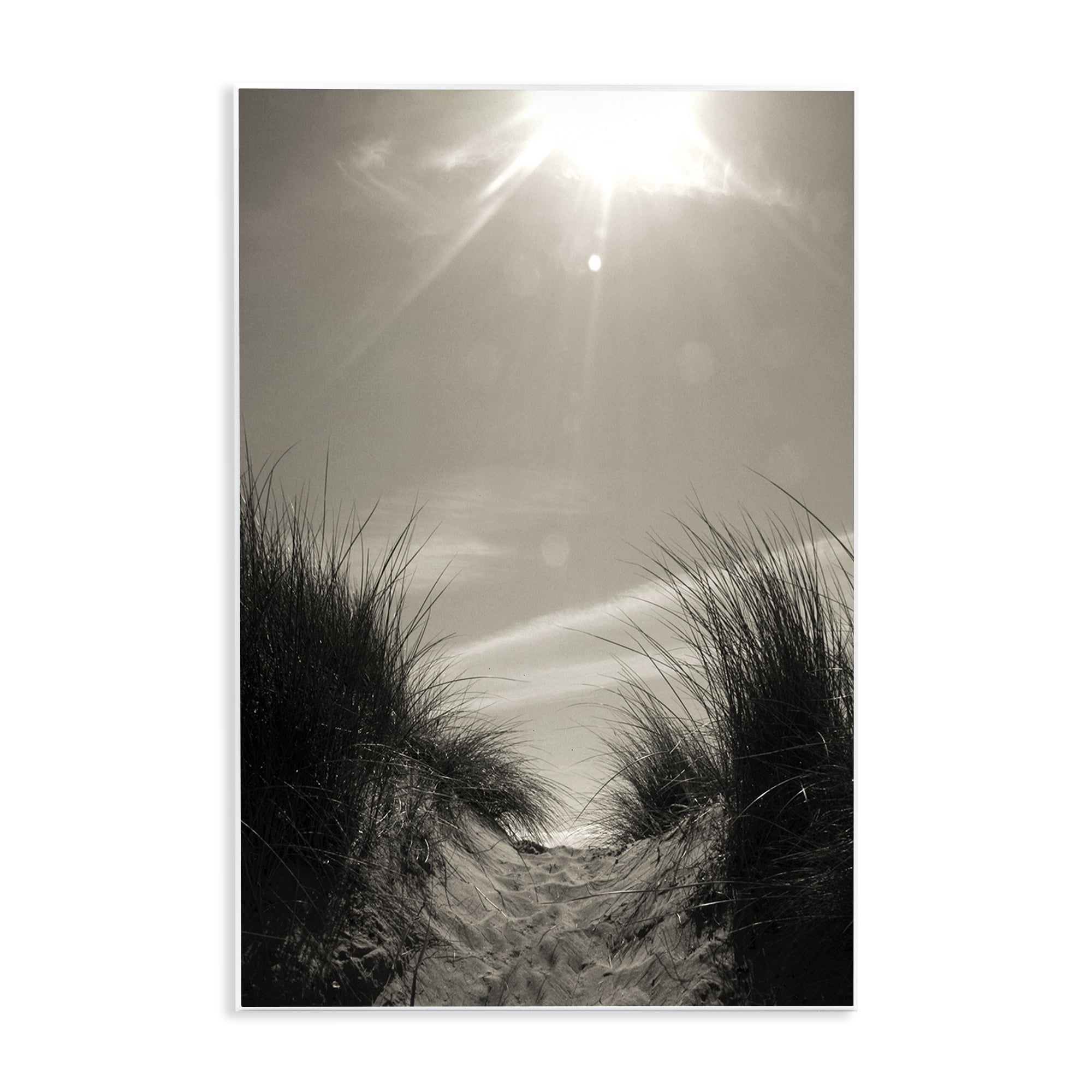 Stupell Industries Dune Valley Landscape Coastal Photography Unframed Art Print Wall Art, 13 x 19