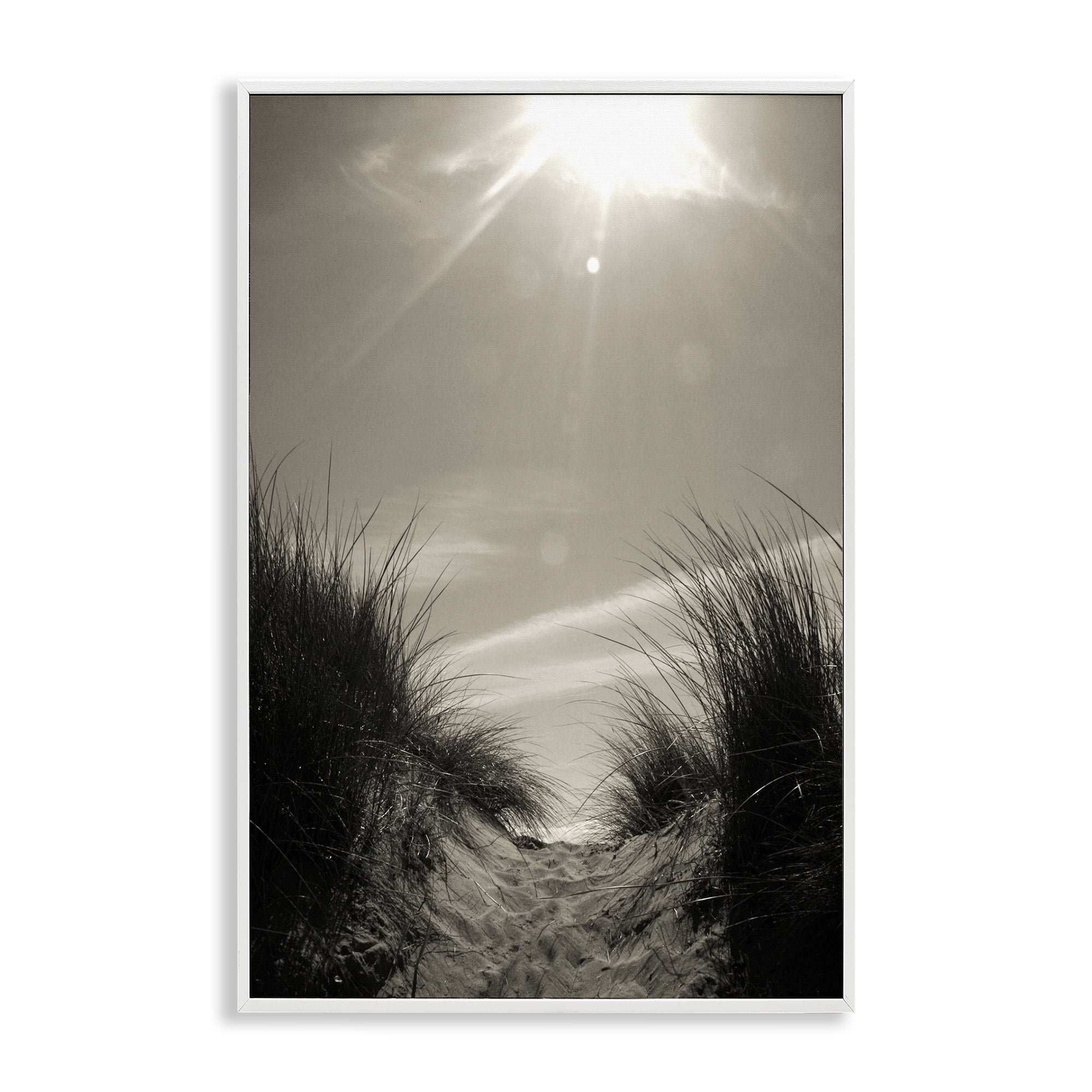 Stupell Industries Dune Valley Landscape Coastal Photography White Framed Art Print Wall Art, 20 x 30