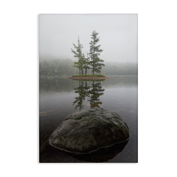 Stupell Industries Duo Trees Lake Reflection Canvas Wall Art, design by James Rodewald