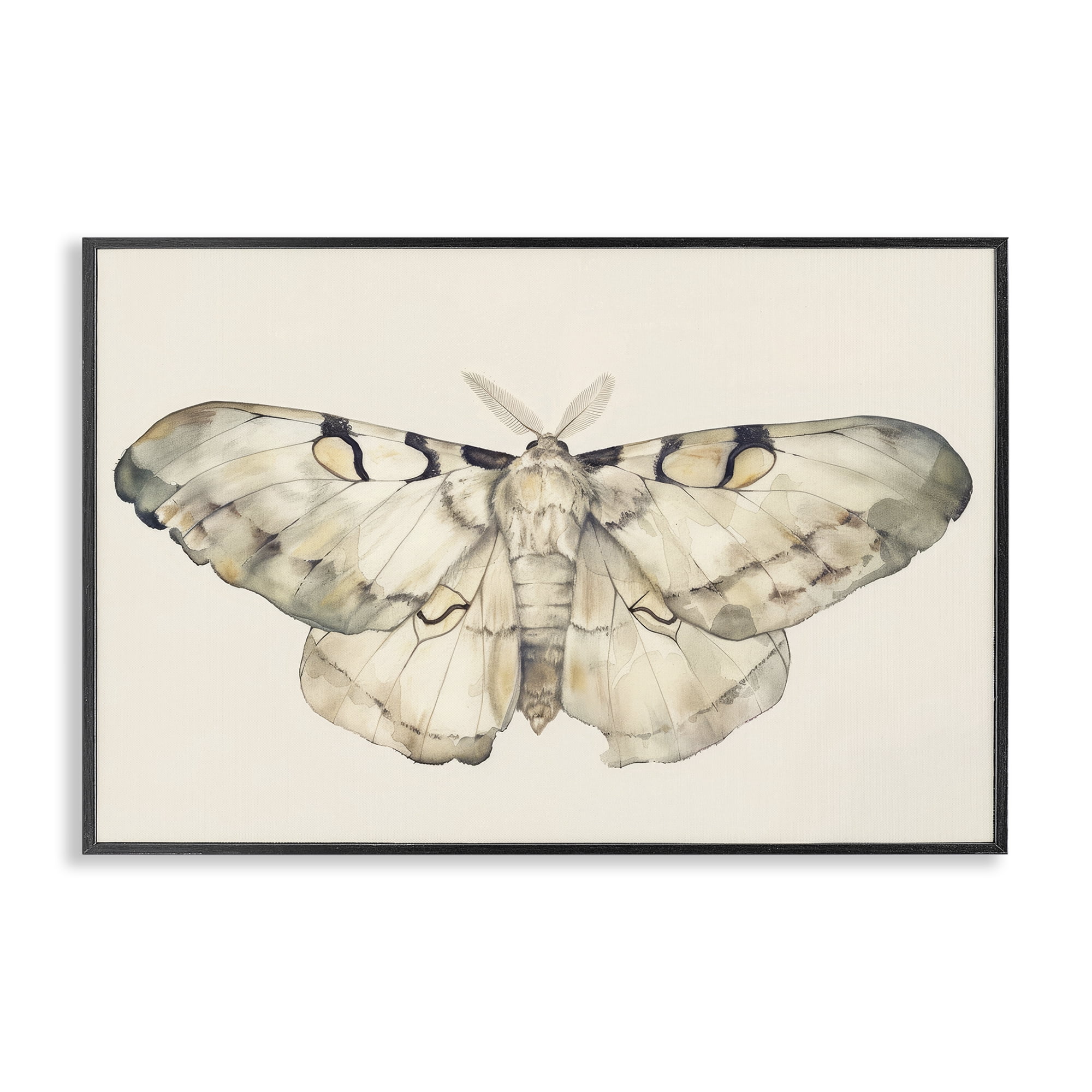 Stupell Industries Dusty Beige Moth Animals Painting Black Framed Art Print Wall Art, 24 x 16