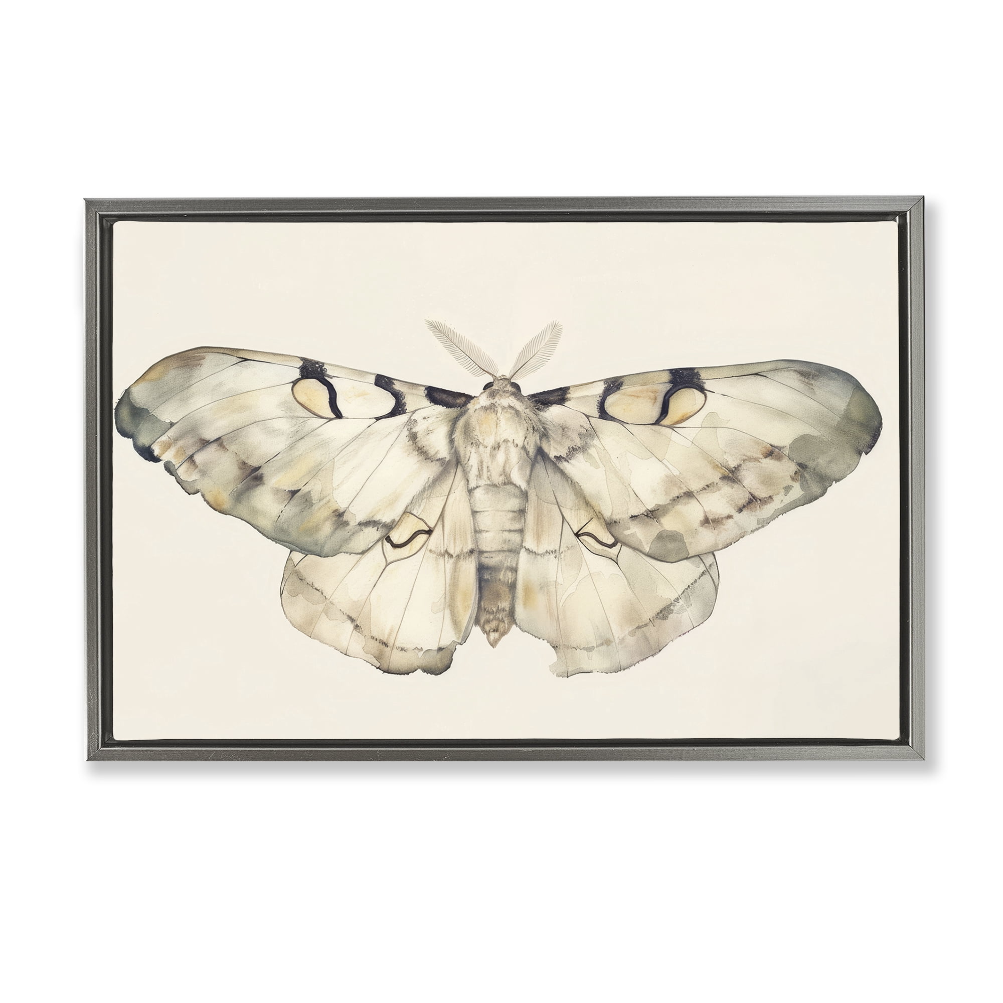 Stupell Industries Dusty Beige Moth Animals Painting Gray Floater Framed Canvas Art Print Wall Art, 25 x 17