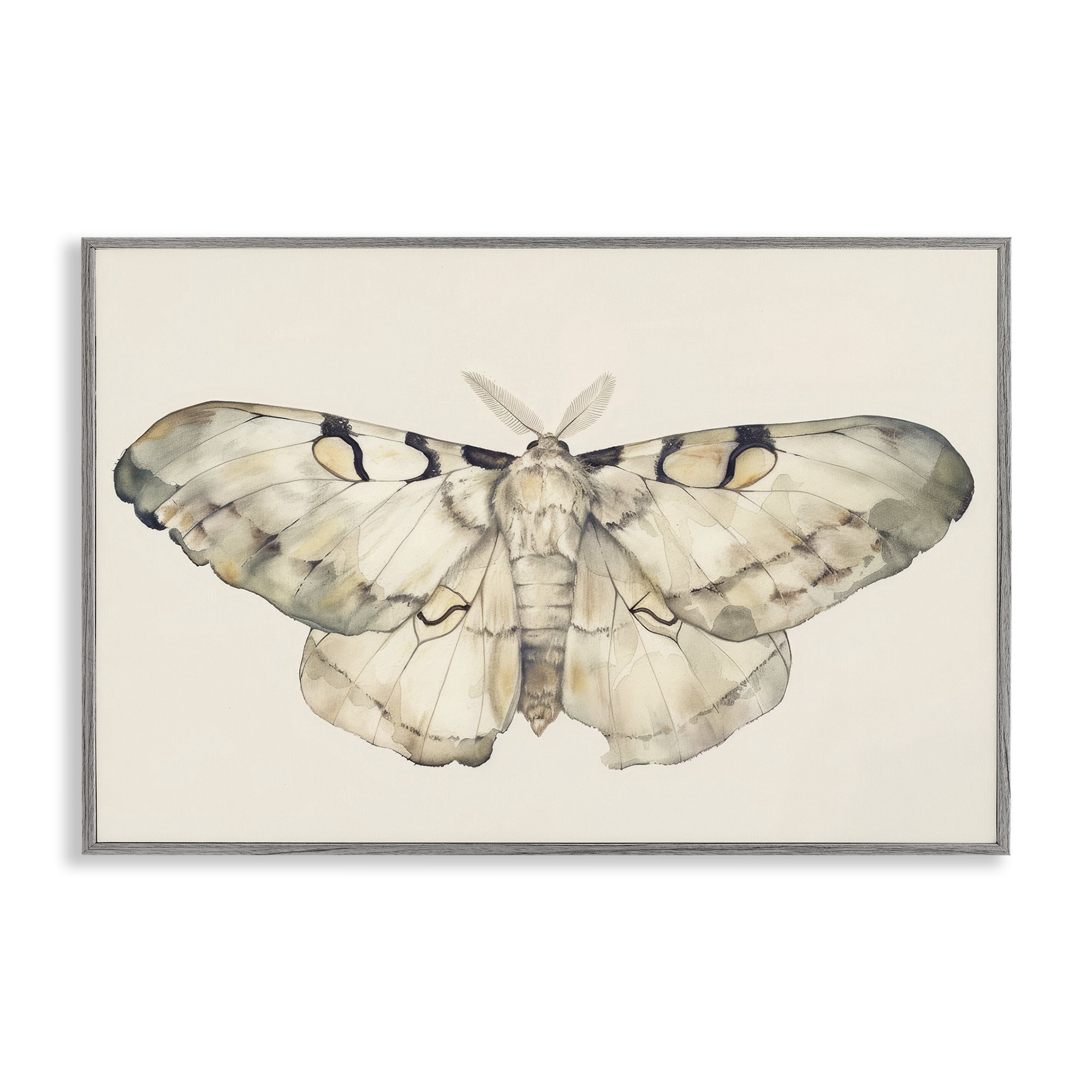 Stupell Industries Dusty Beige Moth Animals Painting Gray Framed Art Print Wall Art, 18 x 12