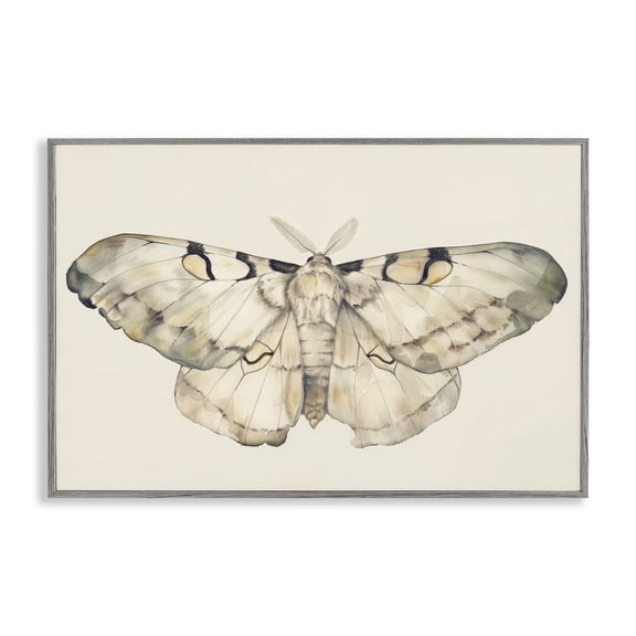 Stupell Industries Dusty Beige Moth Animals Painting Gray Framed Art Print Wall Art, 18 x 12