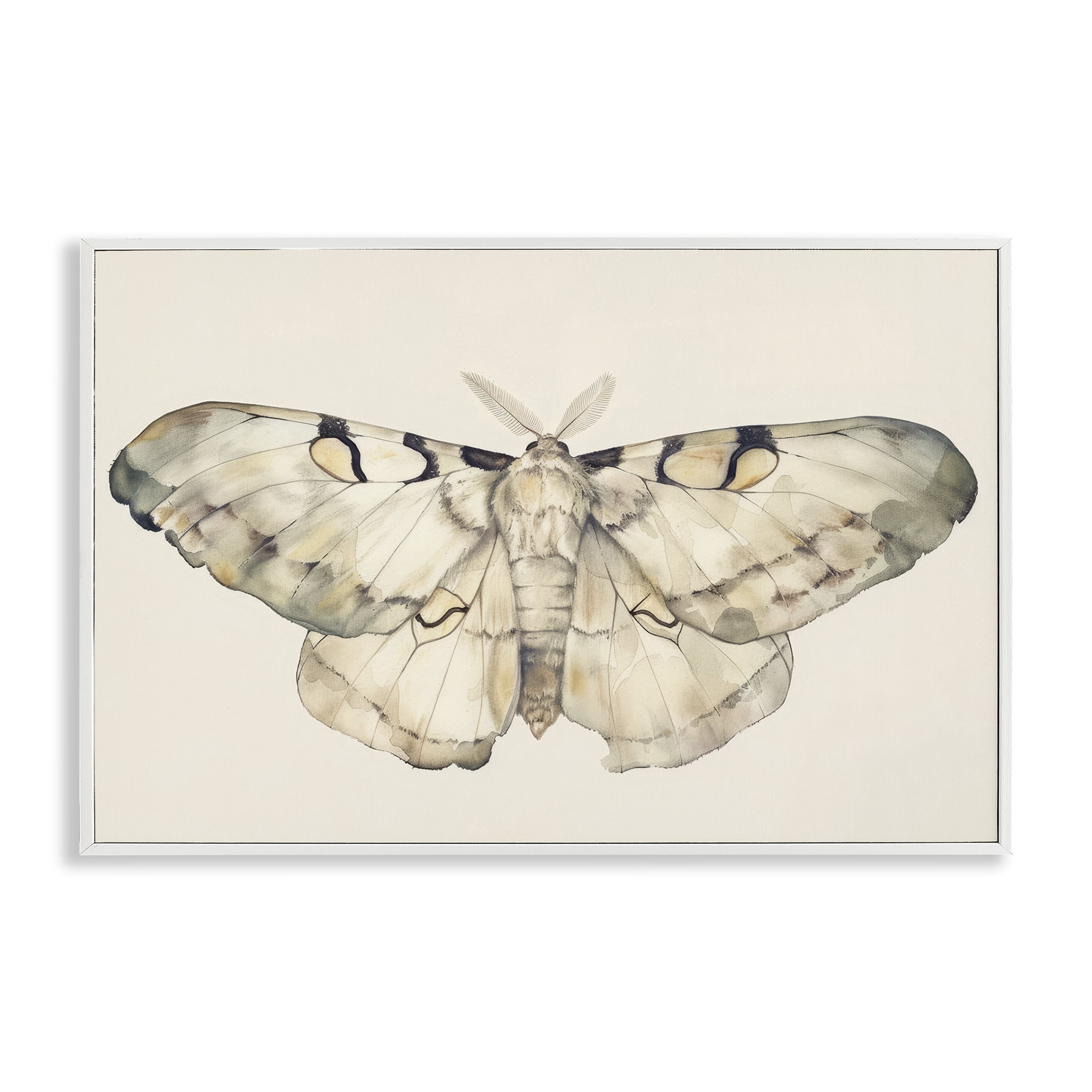 Stupell Industries Dusty Beige Moth Animals Painting White Framed Art Print Wall Art, 24 x 16