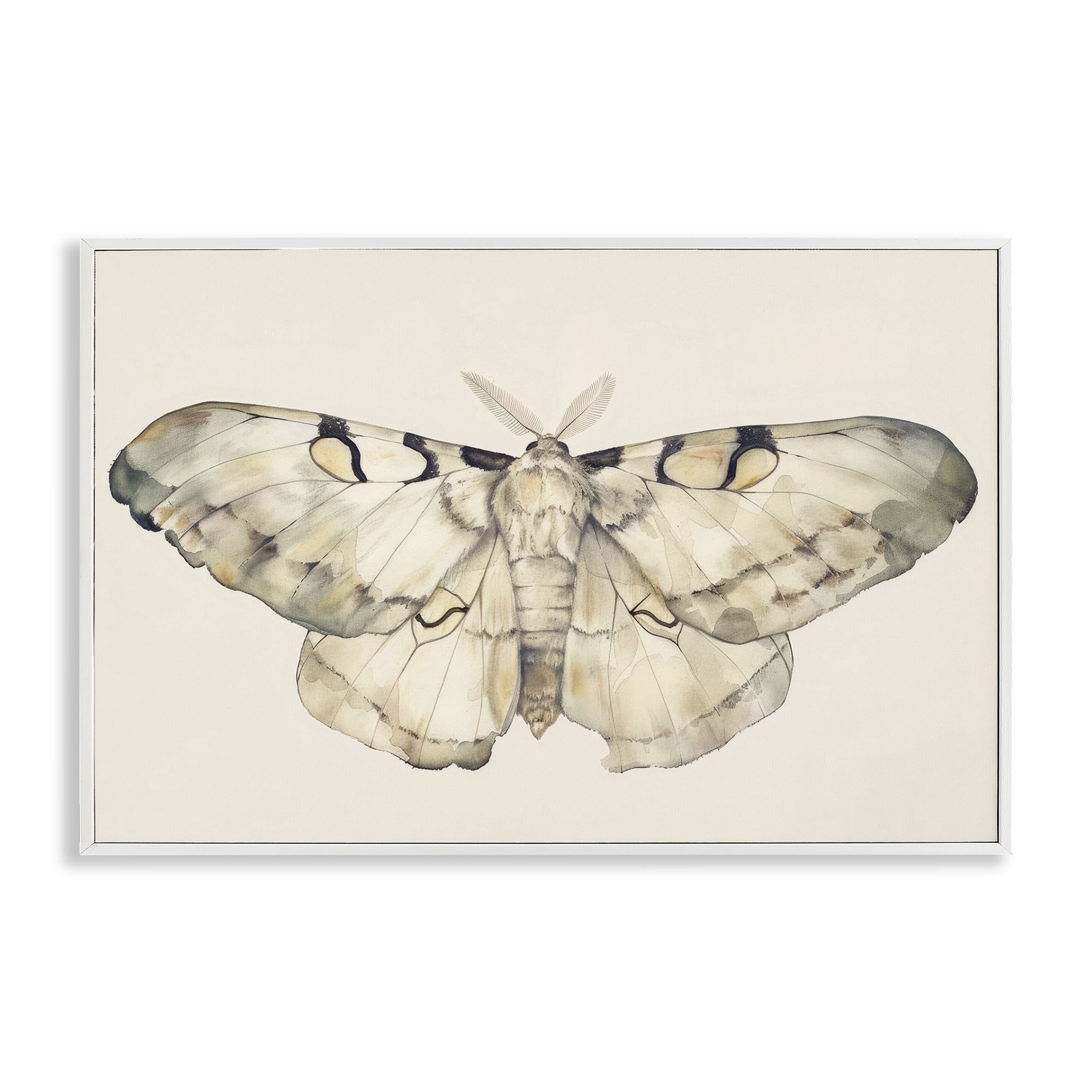 Stupell Industries Dusty Beige Moth Animals Painting White Framed Art Print Wall Art, 30 x 20