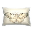 thumbnail image 1 of Stupell Industries Dusty Beige Moth Decorative Printed Throw Pillow Design by Petal Prints Design., 1 of 6