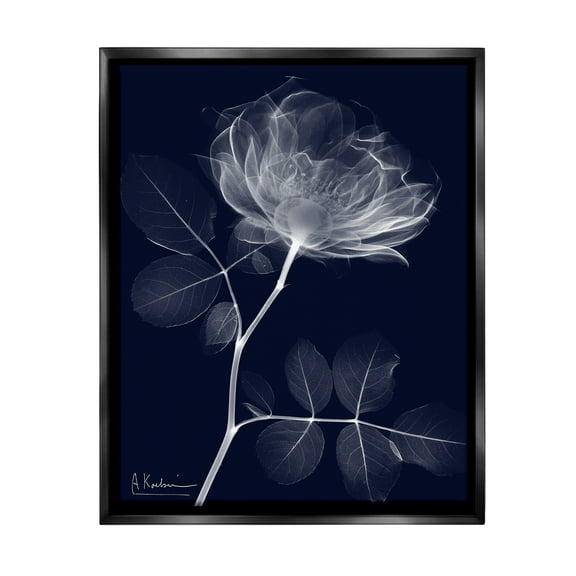 Stupell Industries Dynamic Dark Flower Botanical & Floral Photography Black Floater Framed Canvas Art Print Wall Art, 17 x 21
