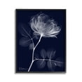 thumbnail image 1 of Stupell Industries Dynamic Dark Flower Botanical & Floral Photography Black Framed Art Print Wall Art, 11 x 14, 1 of 9