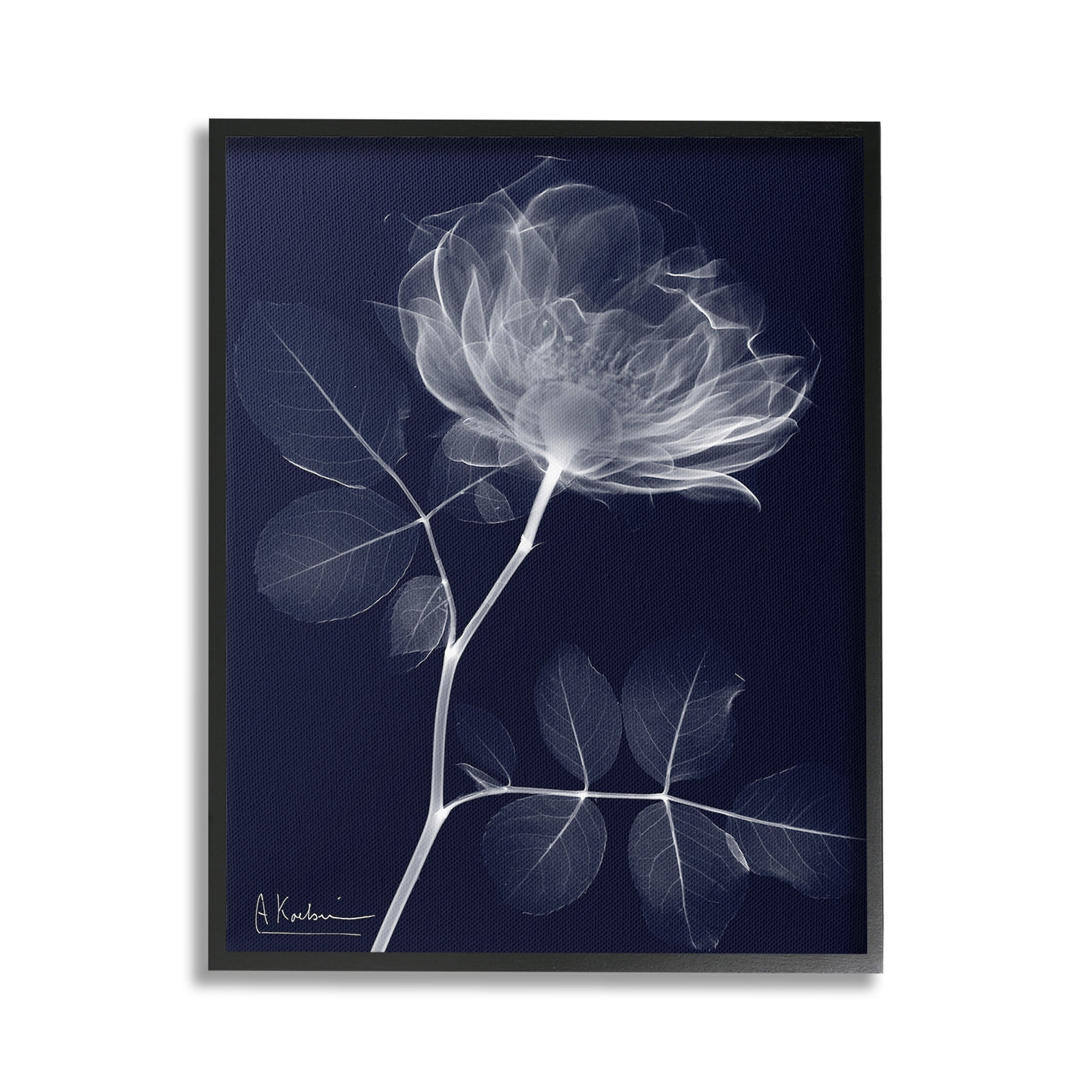 Stupell Industries Dynamic Dark Flower Botanical & Floral Photography Black Framed Art Print Wall Art, 16 x 20