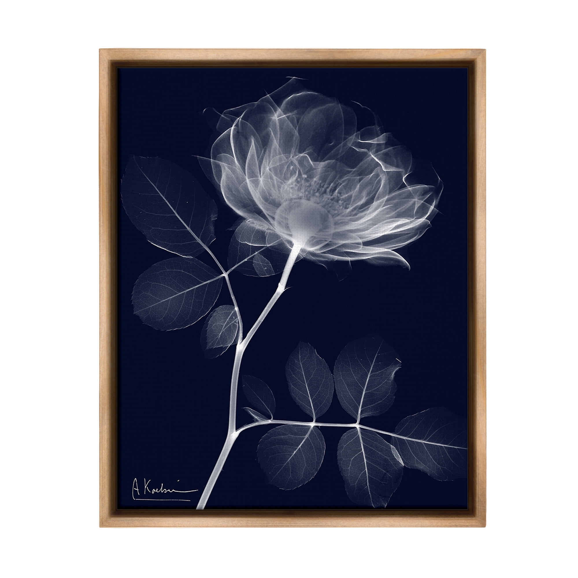 Stupell Industries Dynamic Dark Flower Botanical & Floral Photography Brown Floater Framed Canvas Art Print Wall Art, 25 x 31