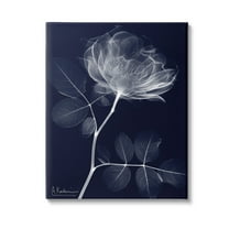 Stupell Industries Dynamic Dark Flower Botanical & Floral Photography Gallery Wrapped Canvas Art Print Wall Art, 16 x 20