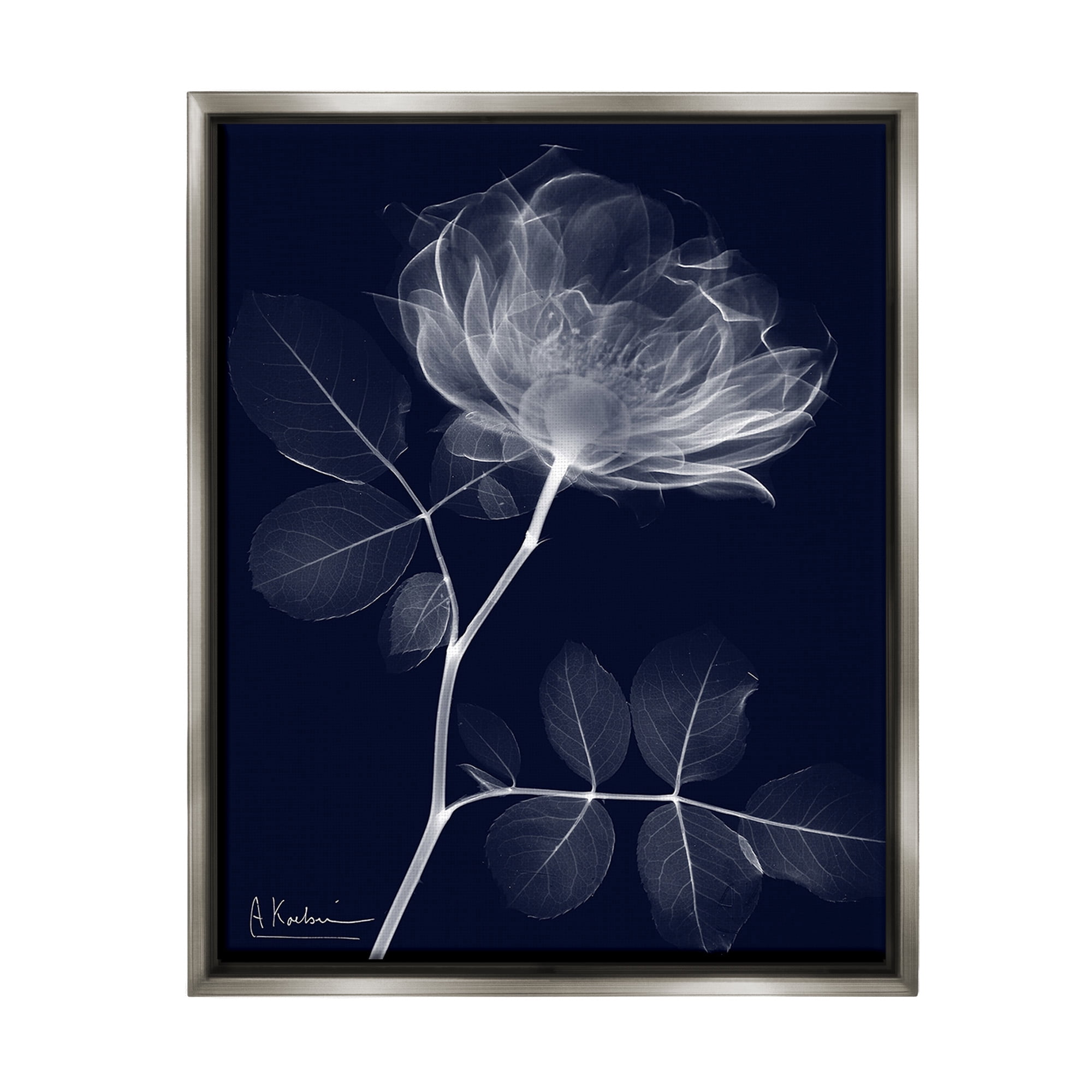 Stupell Industries Dynamic Dark Flower Botanical & Floral Photography Gray Floater Framed Canvas Art Print Wall Art, 25 x 31