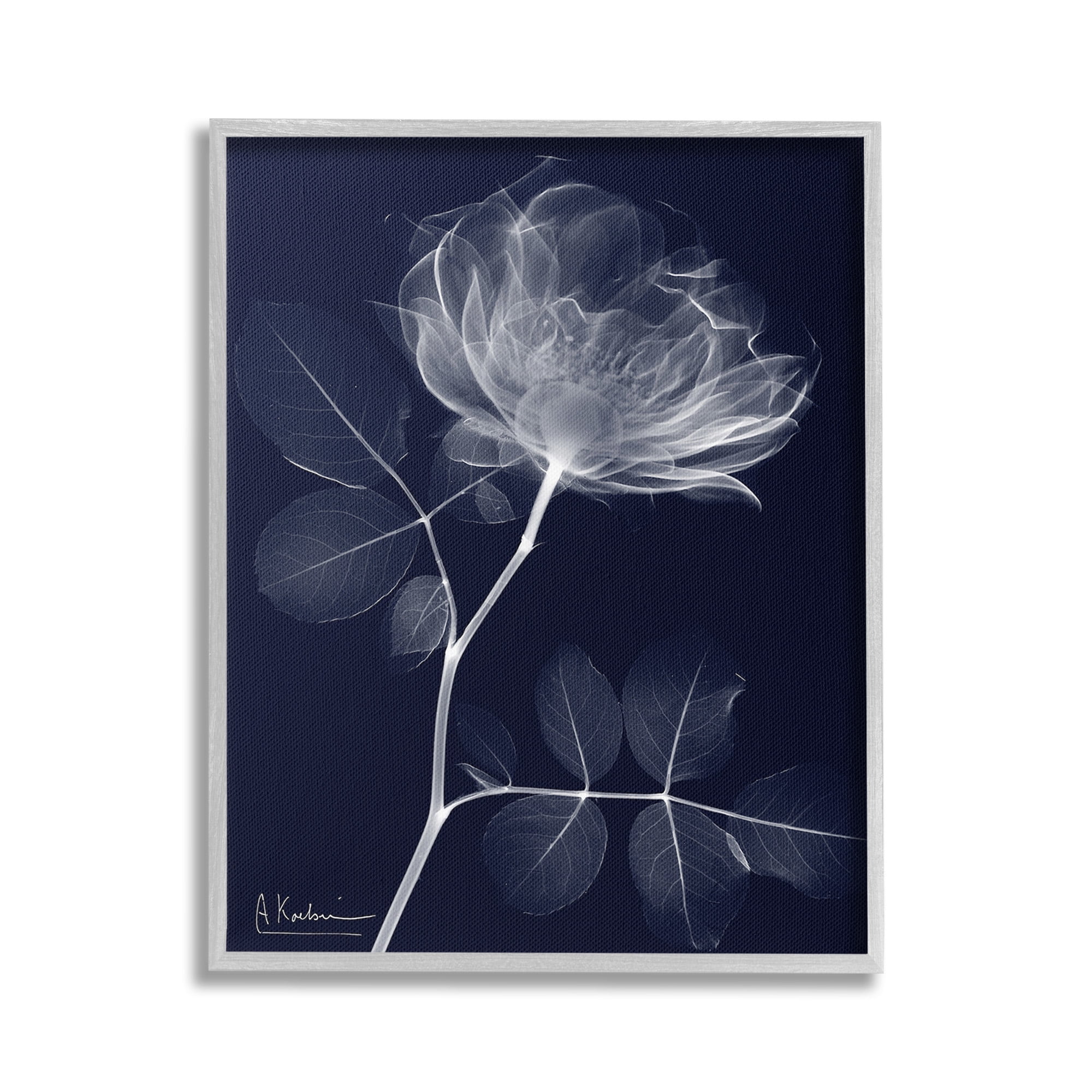 Stupell Industries Dynamic Dark Flower Botanical & Floral Photography Gray Framed Art Print Wall Art, 24 x 30