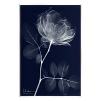 Stupell Industries Dynamic Dark Flower Botanical & Floral Photography Unframed Art Print Wall Art, 10 x 15