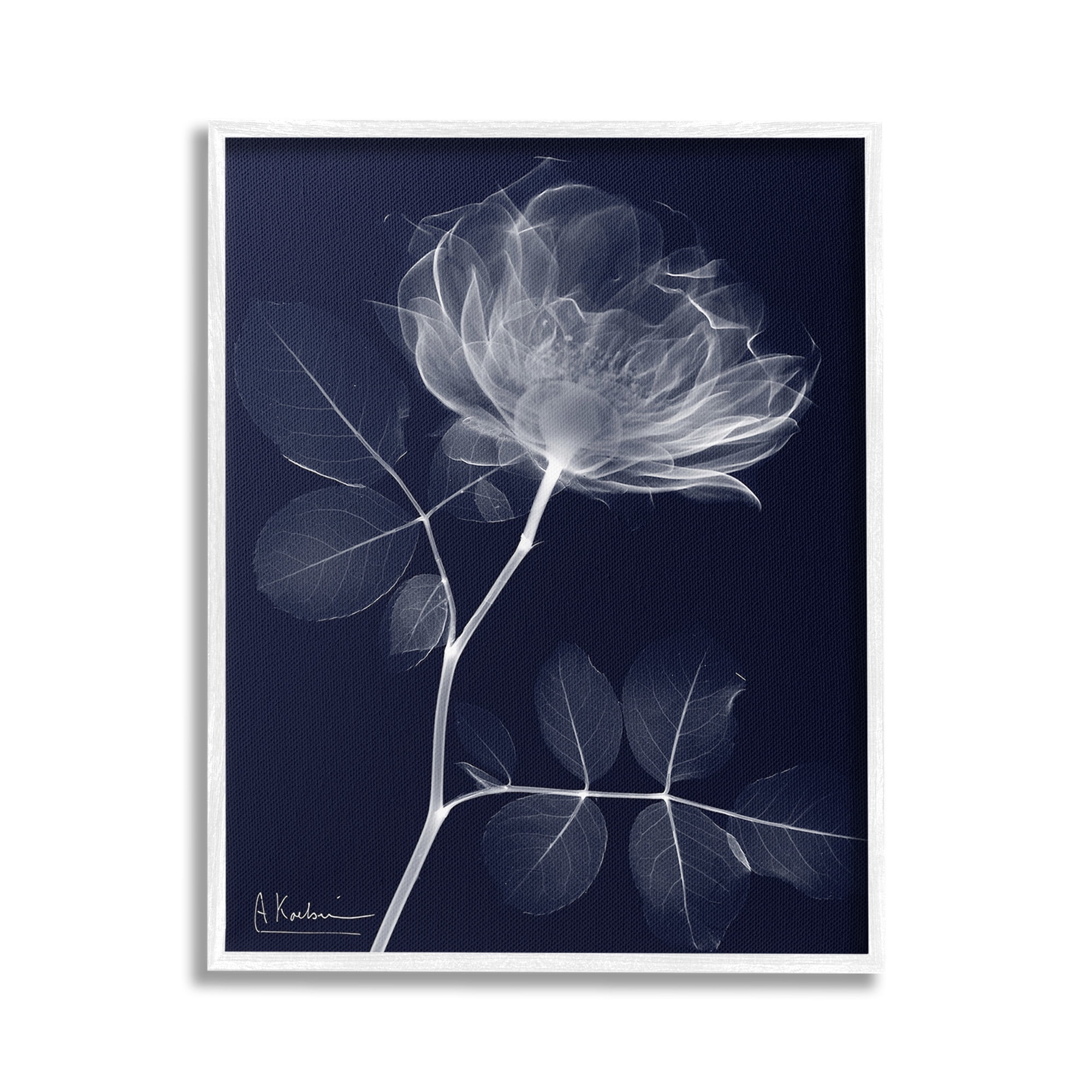 Stupell Industries Dynamic Dark Flower Botanical & Floral Photography White Framed Art Print Wall Art, 24 x 30
