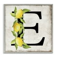 thumbnail image 1 of Stupell Industries Rustic Lodge E with Lemon Letter Gray Framed Giclee Art, 24 x 24, by Creatif Belle, 1 of 8