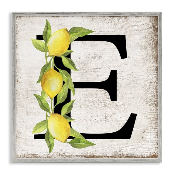 Stupell Industries Rustic Lodge E with Lemon Letter Gray Framed Giclee Art, 24 x 24, by Creatif Belle