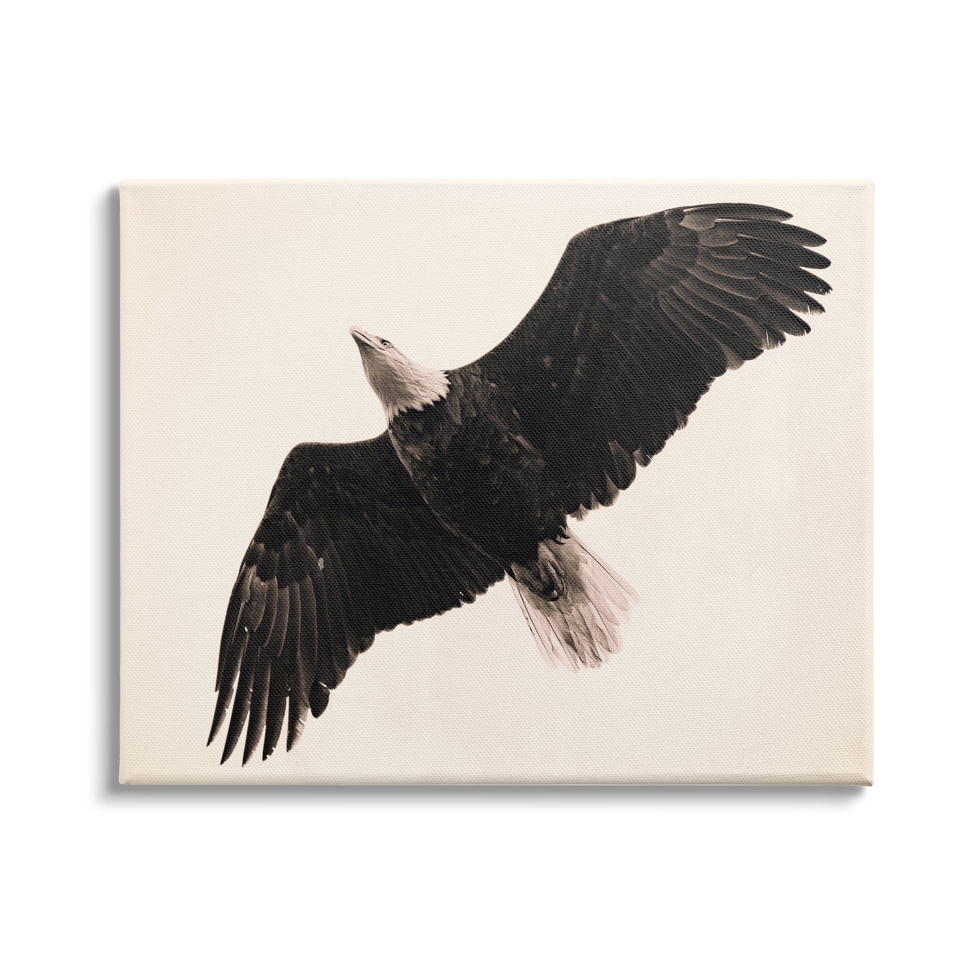 Stupell Industries Eagle Flying Overhead Vintage Bird Sepia Tone Photography, 48 x 36,Design by Nancy Crowell