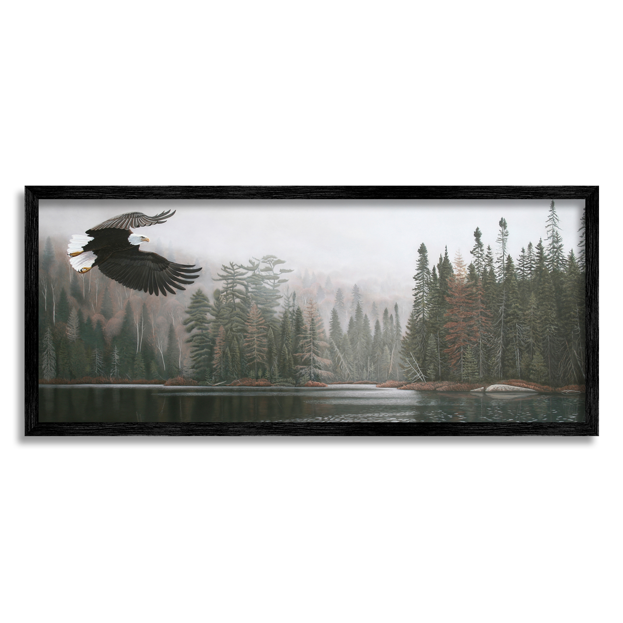 Stupell Industries Eagle Soaring Over Lake Nature Photography Black Framed Art Print Wall Art, 24 x 10