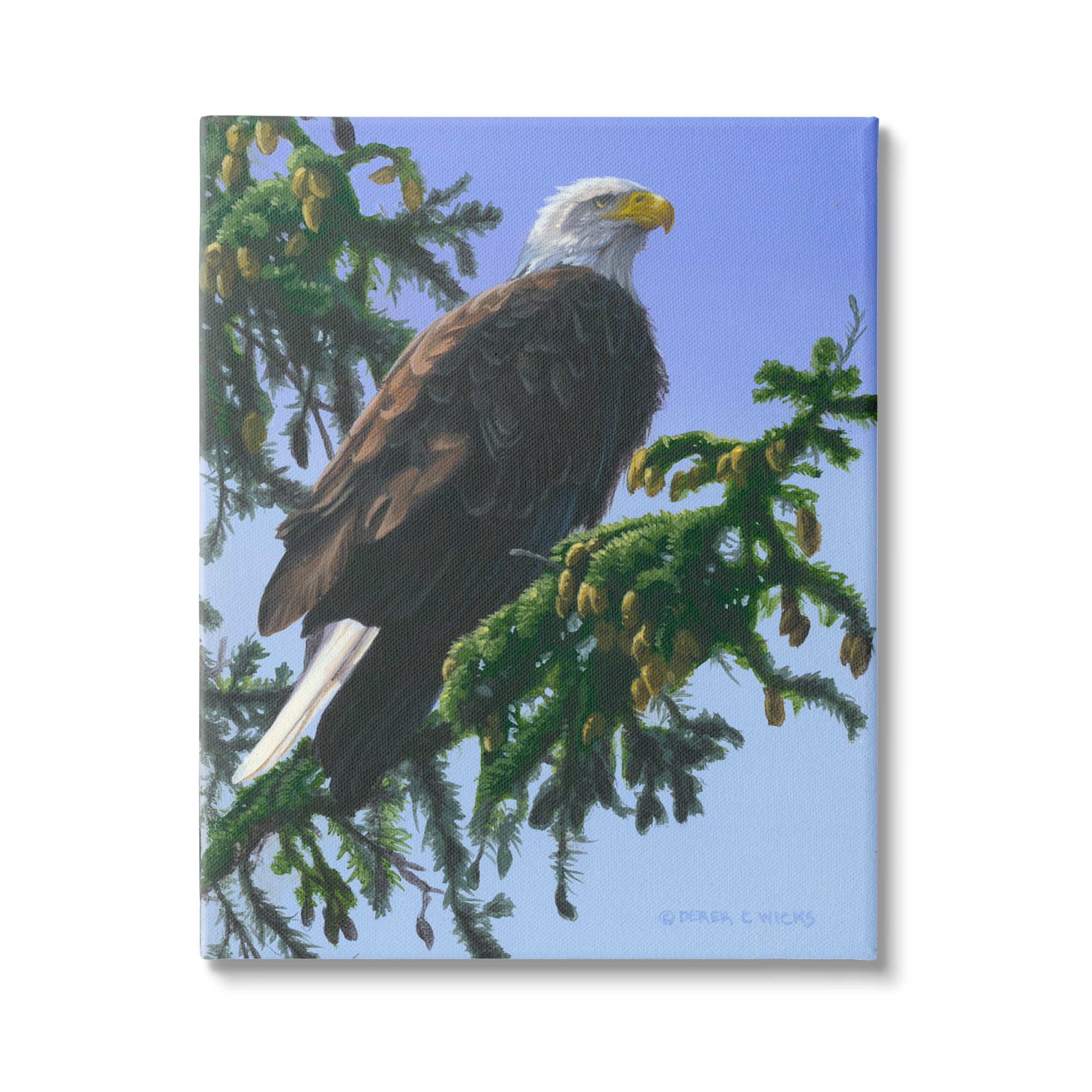 Stupell Industries Eagle on Fir Branch Animals & Insects Painting Gallery Wrapped Canvas Art Print Wall Art, 30 x 40