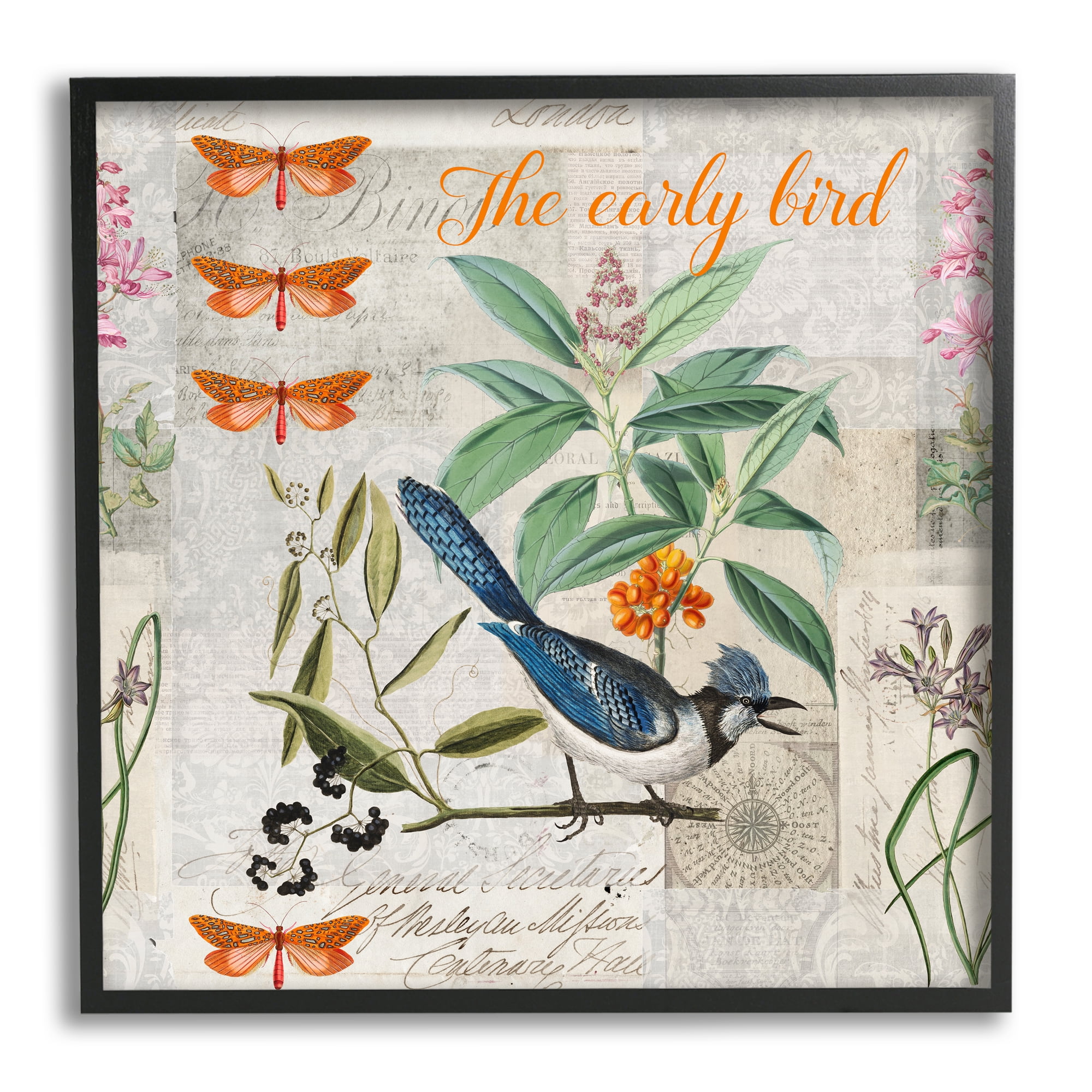 Early Bird Vintage Nature Black Framed Art Print, 12" x 12"