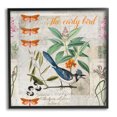 thumbnail image 1 of Stupell Industries Early Bird Vintage Nature Animals & Insects Painting Black Framed Art Print Wall Art, 24 x 24, 1 of 9