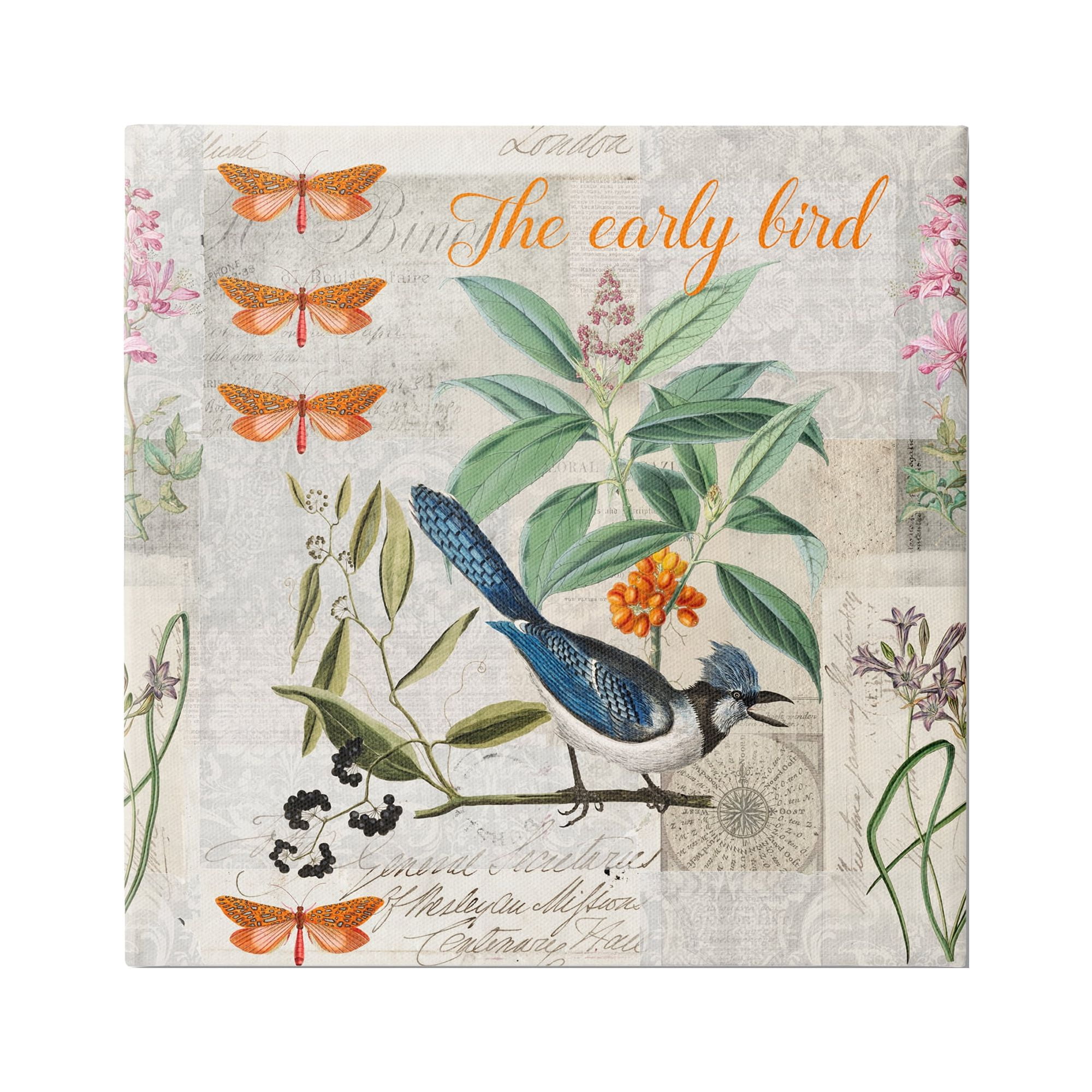 Stupell Industries Early Bird Vintage Nature Animals & Insects Painting Gallery Wrapped Canvas Art Print Wall Art, 24 x 24