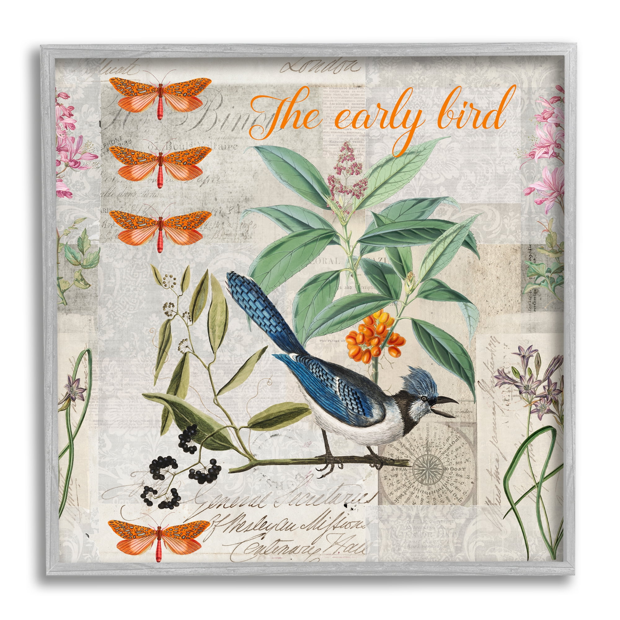 Stupell Industries Early Bird Vintage Nature Animals & Insects Painting Gray Framed Art Print Wall Art, 24 x 24