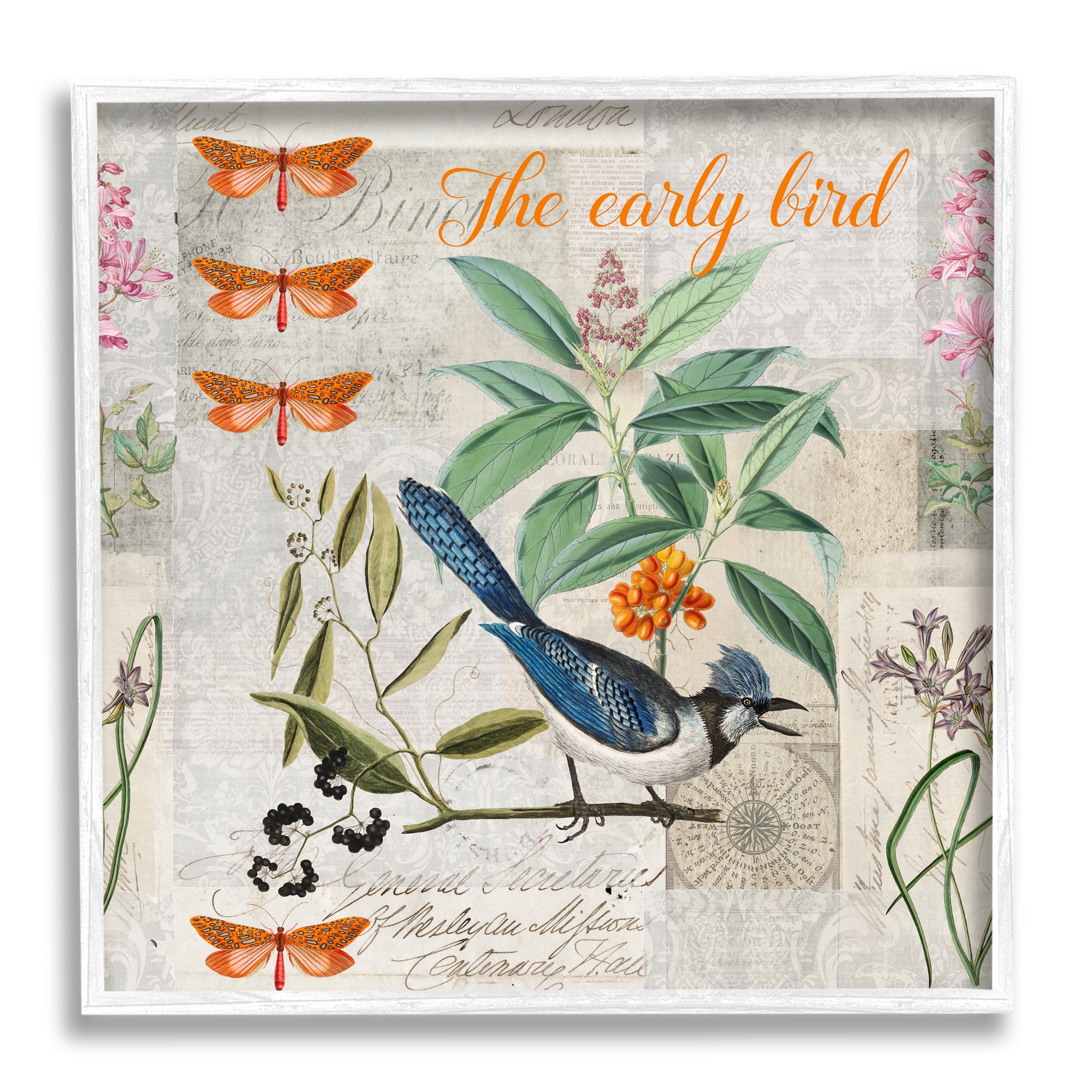 Stupell Industries Early Bird Vintage Nature Animals & Insects Painting White Framed Art Print Wall Art, 24 x 24