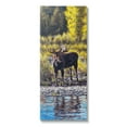 thumbnail image 1 of Stupell Industries Early Summer Moose At Lake Animals & Insects Painting Gallery Wrapped Canvas Print Wall Art, 1 of 5