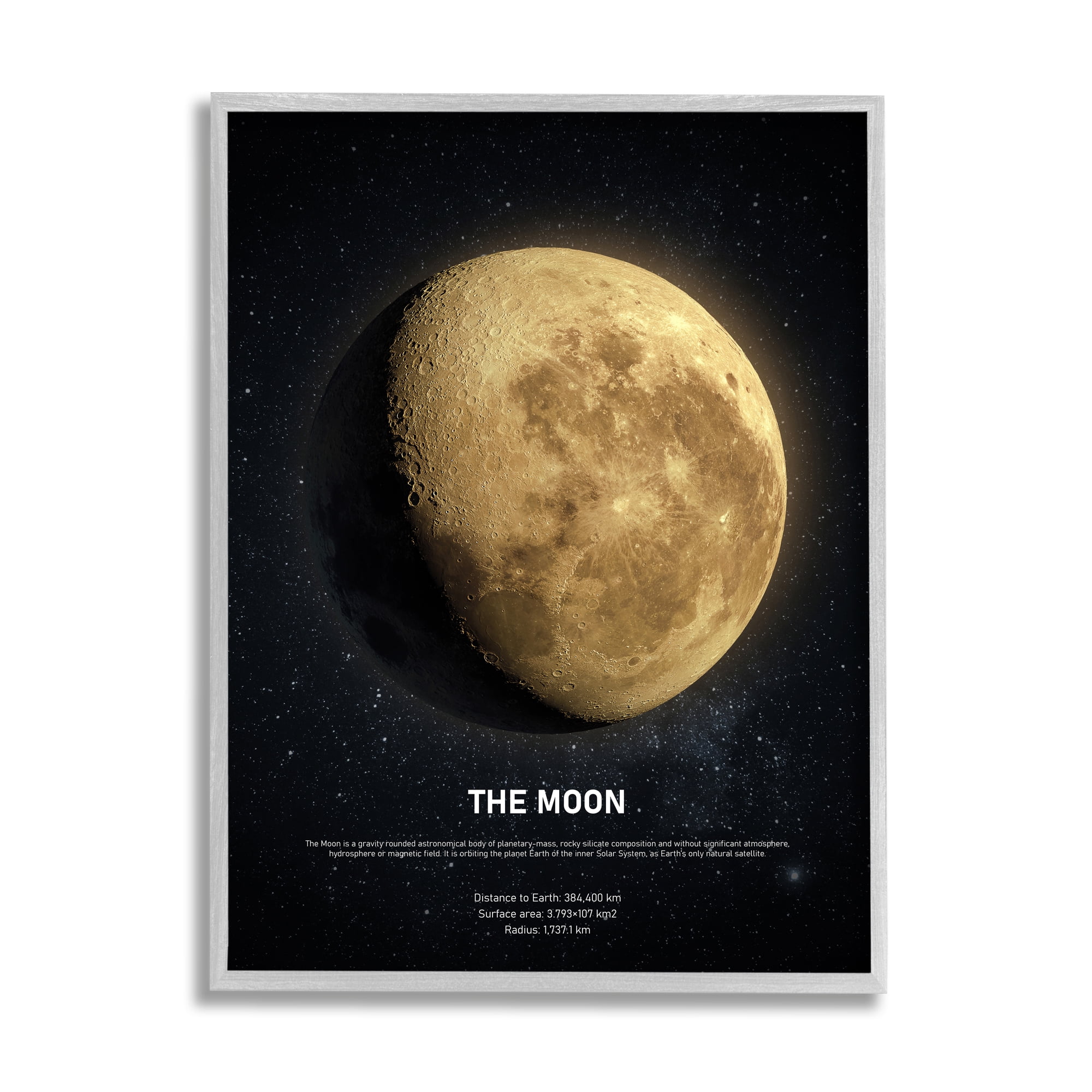 Gray Framed Moon Celestial Facts Canvas Print, 11 x 14