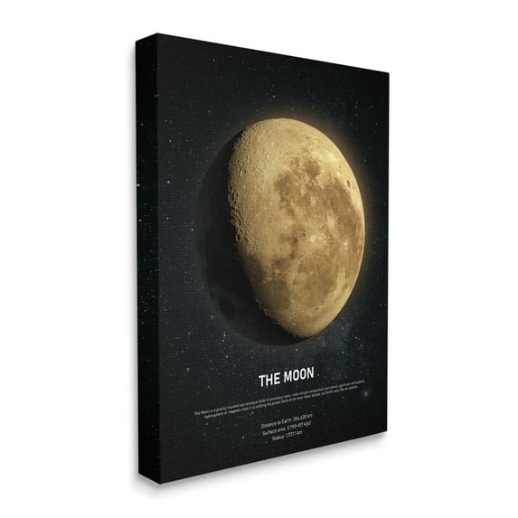 Stupell Industries Earth's Moon Celestial Facts Outer Space Infographic, 30 x 40, Designed by Design Fabrikken