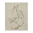 thumbnail image 1 of Stupell Industries Mid-Century Earthtone Rabbit Sketch Canvas Art, 16 x 20, by June Erica Vess, 1 of 8