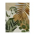 thumbnail image 1 of Stupell Industries Earthy Tropical Leaves Canvas Wall Art design by Amber Sterling, 30 x 24, 1 of 7