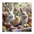 thumbnail image 1 of Stupell Industries Cottage Easter Animals & Eggs Canvas Art, 36 x 36, by The Wands Want, 1 of 8
