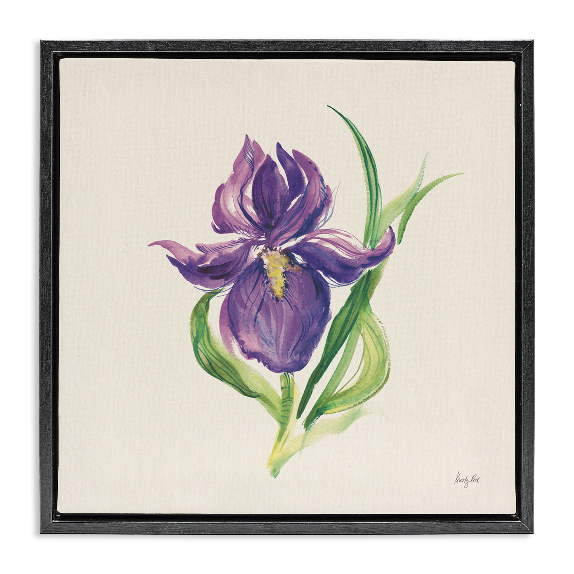 Stupell Industries Easter Iris Bloom Botanical & Floral Painting Black Floater Framed Art Print Wall Art, 25 x 25