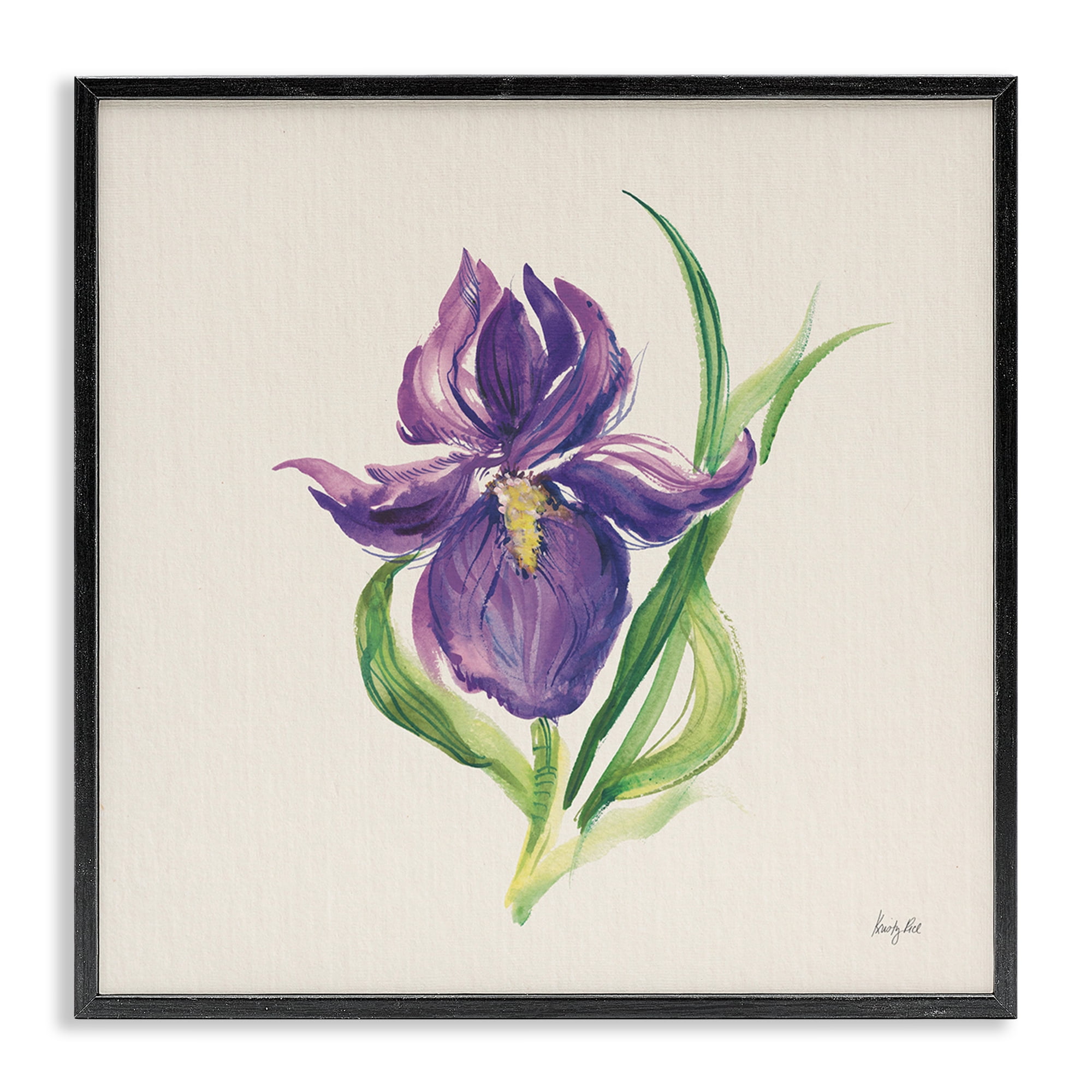 Stupell Industries Easter Iris Bloom Botanical & Floral Painting Black Framed Art Print Wall Art, 24 x 24