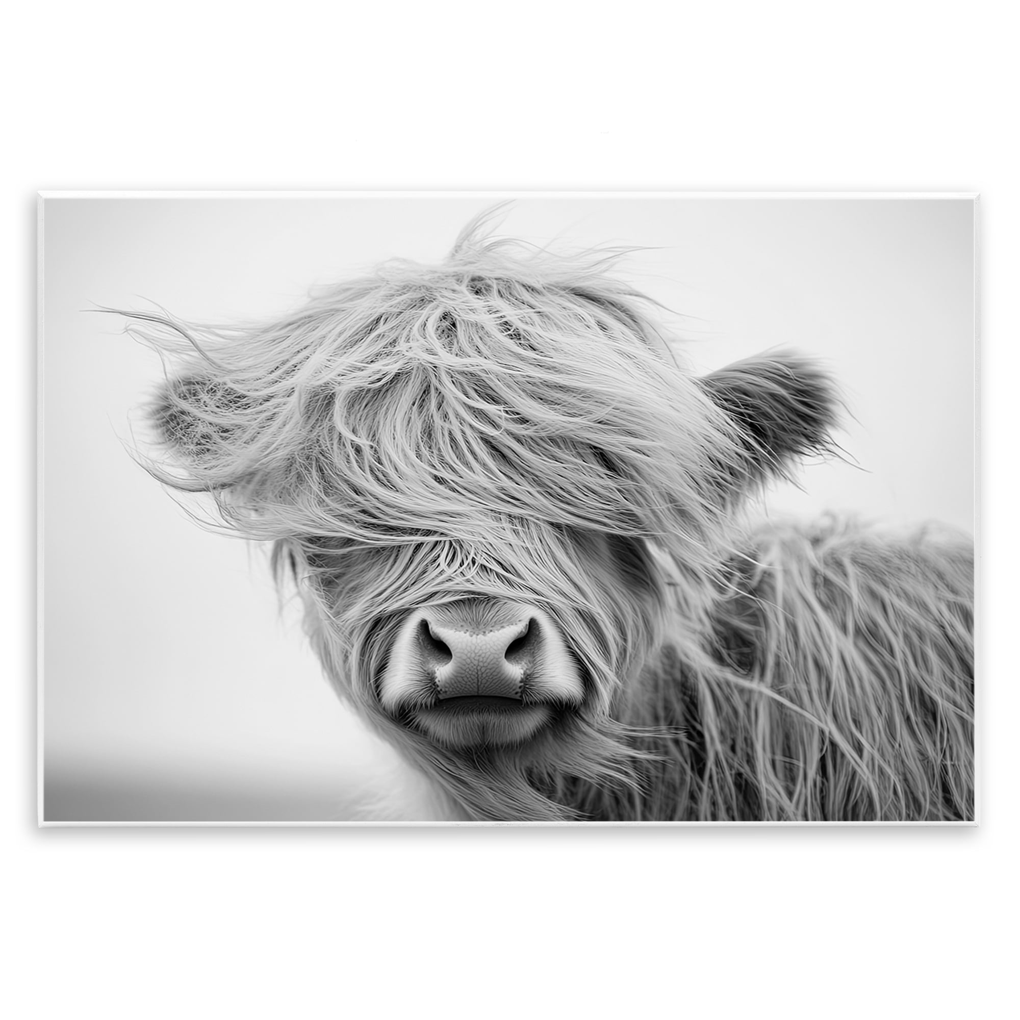 Stupell Industries Easy Breezy Cattle Wall Plaque Art, design by Tina LeCour