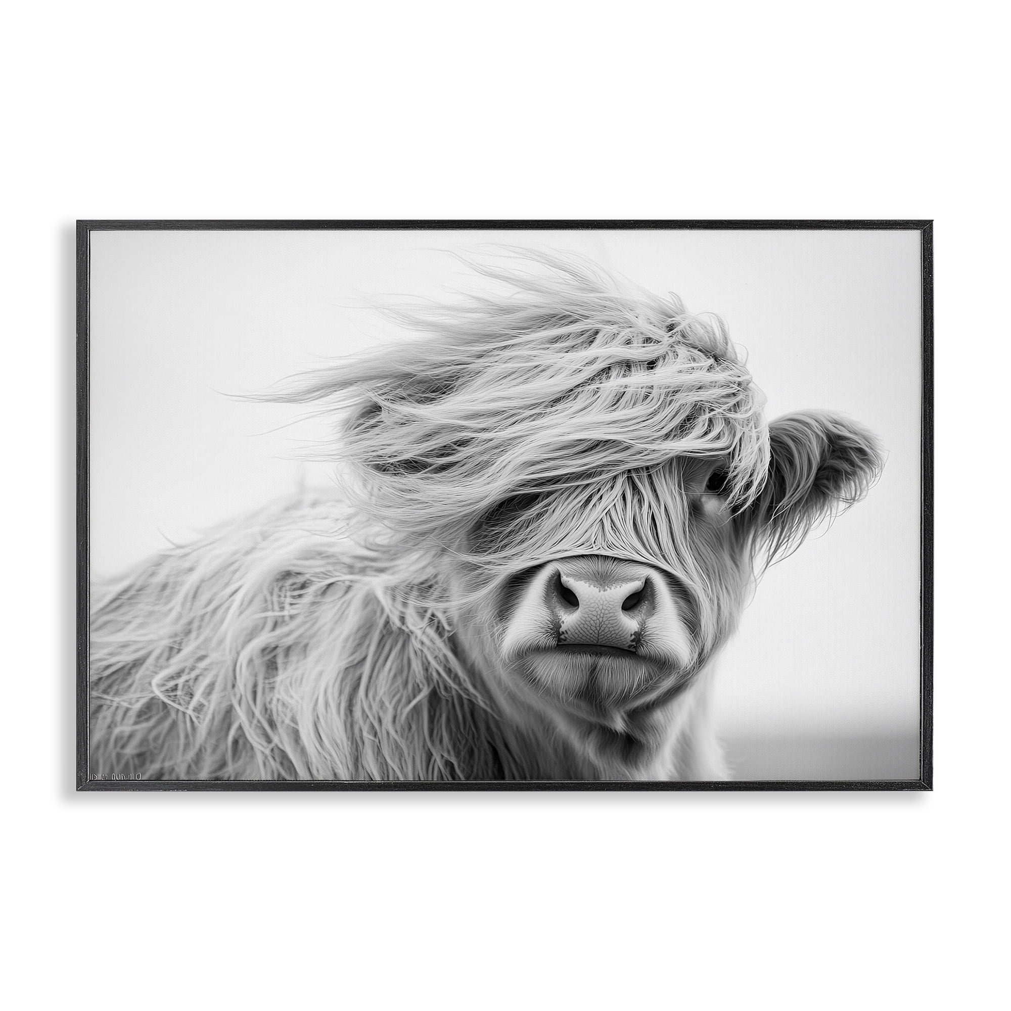 Stupell Industries Easy Breezy Highland Black Framed Giclee Art, design by Tina LeCour