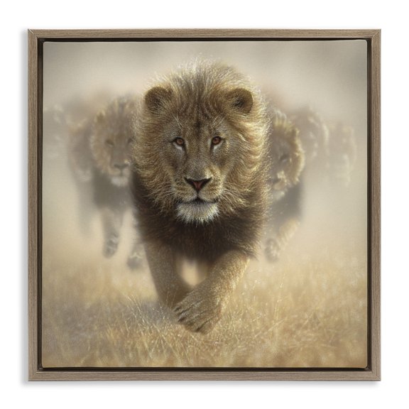 Stupell Industries Eat My Dust Lions Brown Framed Floater Canvas Wall Art design by Collin Bogle, 18 x 18