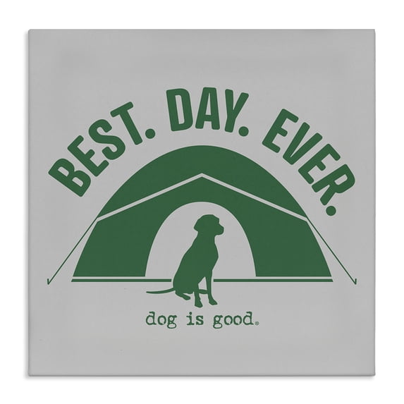 Stupell Industries Eclectic Best Day Camping Dog Canvas Art, 17 x 17, by Dog Is Good