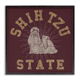 thumbnail image 1 of Stupell Industries Eclectic Black Framed Giclee Art, 24 x 24, by Spirit Animals/Life Is High, 1 of 8