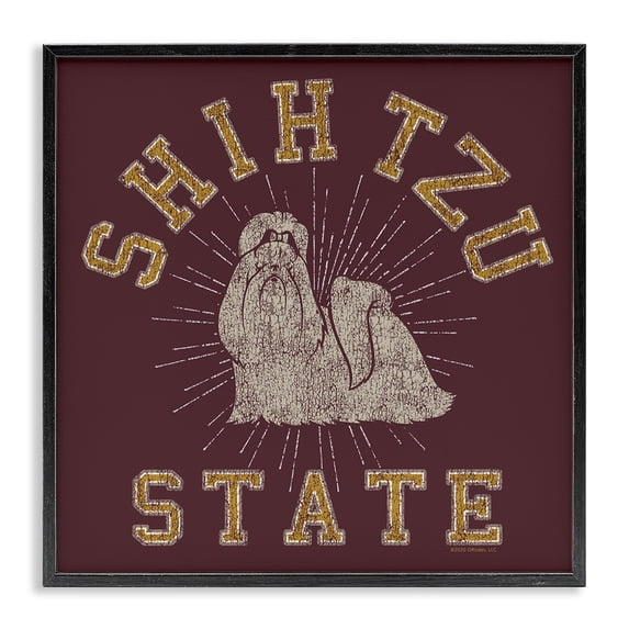 Stupell Industries Eclectic Black Framed Giclee Art, 24 x 24, by Spirit Animals/Life Is High